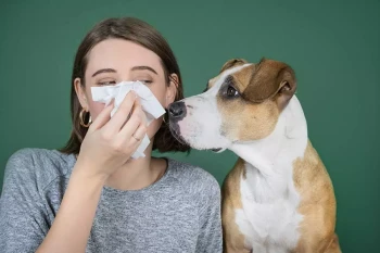 A woman allergic to a hypoallergenic pet