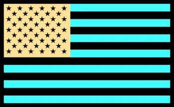 A negative version of the American flag. Visuals like this can be a persistent afterimage in eye