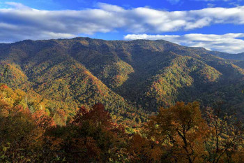 Great Smoky Mountain National Park