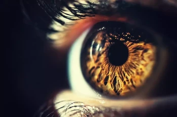 The iris and the eye's pigment can be affected by pigment dispersion syndrome
