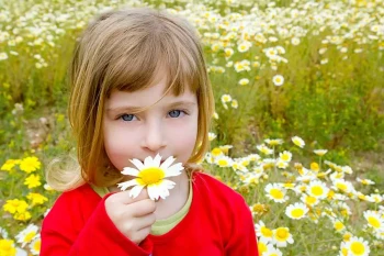 A little girl smells a flower with her nose