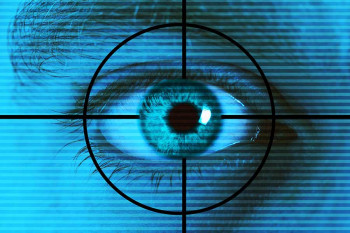 A retinal scanner
