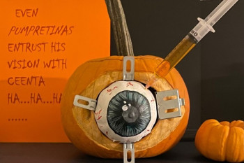 CEENTA Steele Creek winning pumpkin