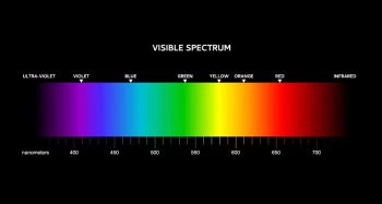 The visible spectrum, plus ultraviolet and infrared light