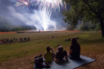 Family watching fireworks safely