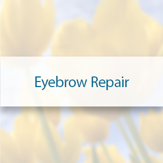 Eyebrow-Repair