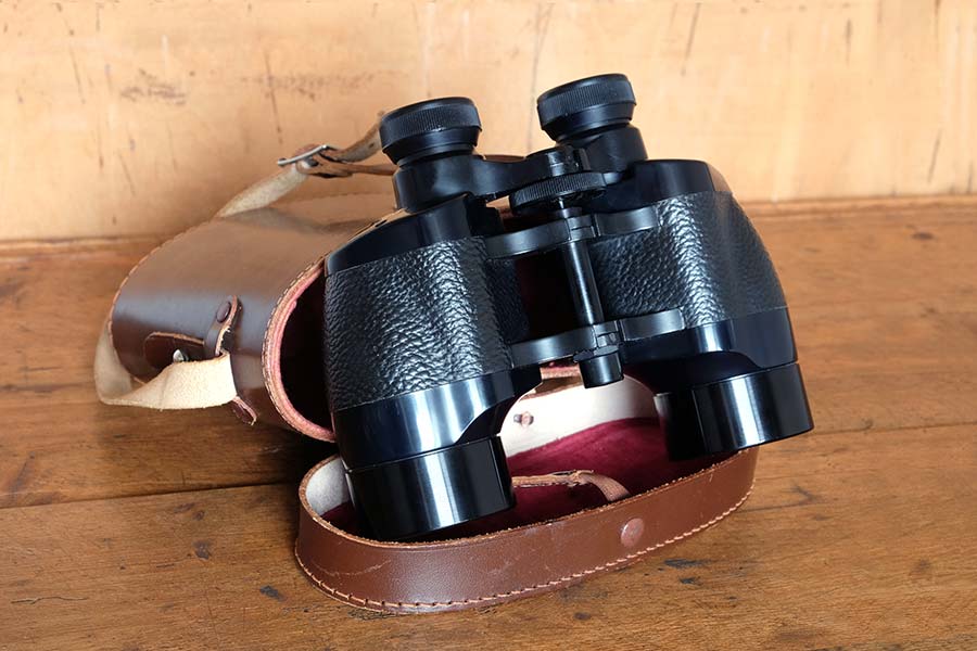 Prism binoculars