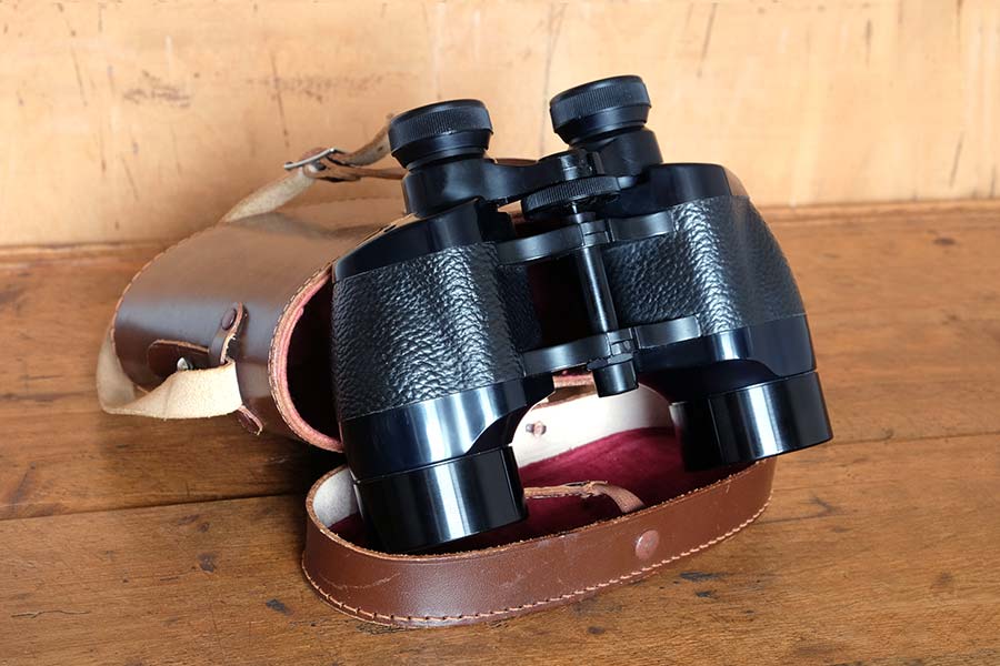 Prism binoculars