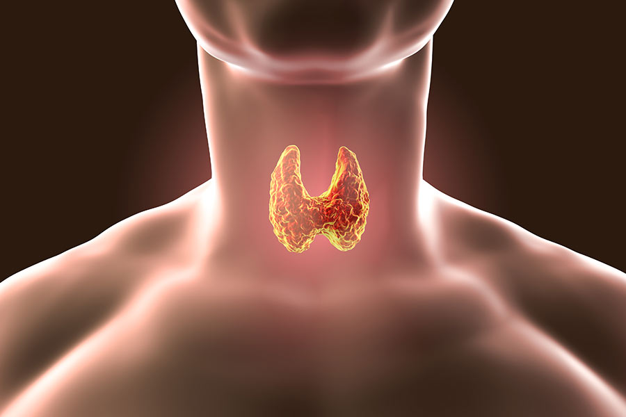 Thyroid surgery